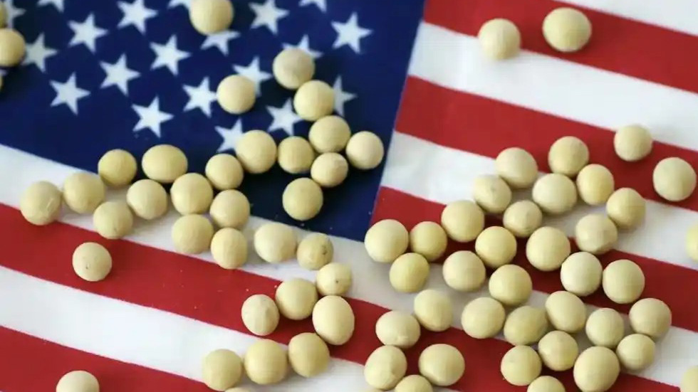 Outward Opening Aluminum Casement Windows