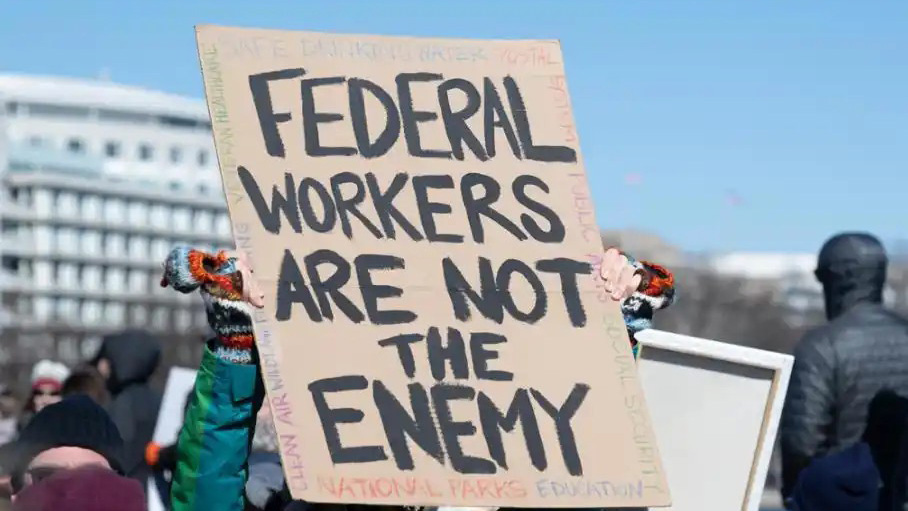 Frame Glass Curtain Wall Frame Glass Curtain Wall