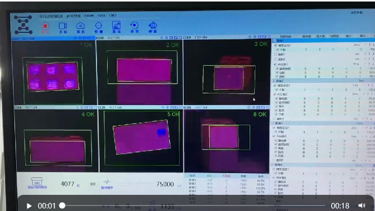 TLCC Visual Inspection