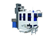 Integrated Vision Counting Machine