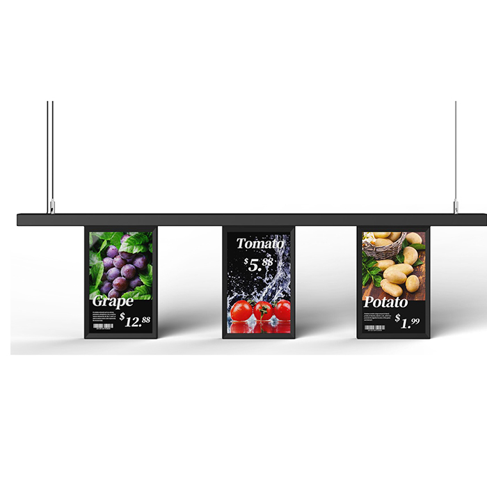 Single Screen10.1 Inch Full Color LcD Signage
