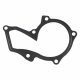 Water Pump Gasket