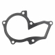 Water Pump Gasket