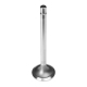 Intake and exhaust valves