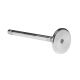 Intake and exhaust valves