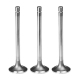 Intake and exhaust valves