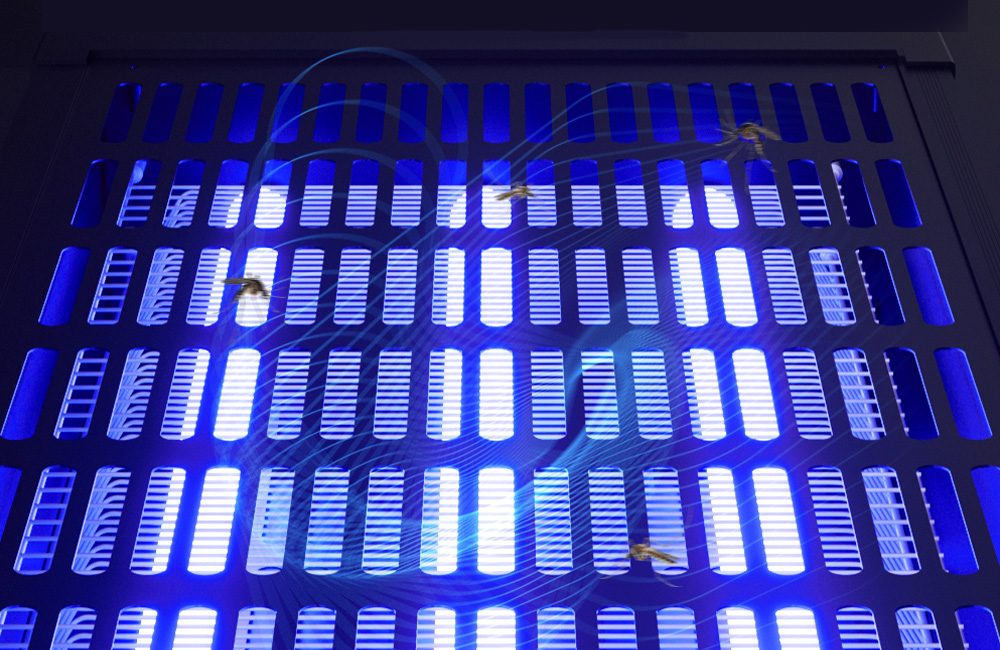 Bug zapper blue light