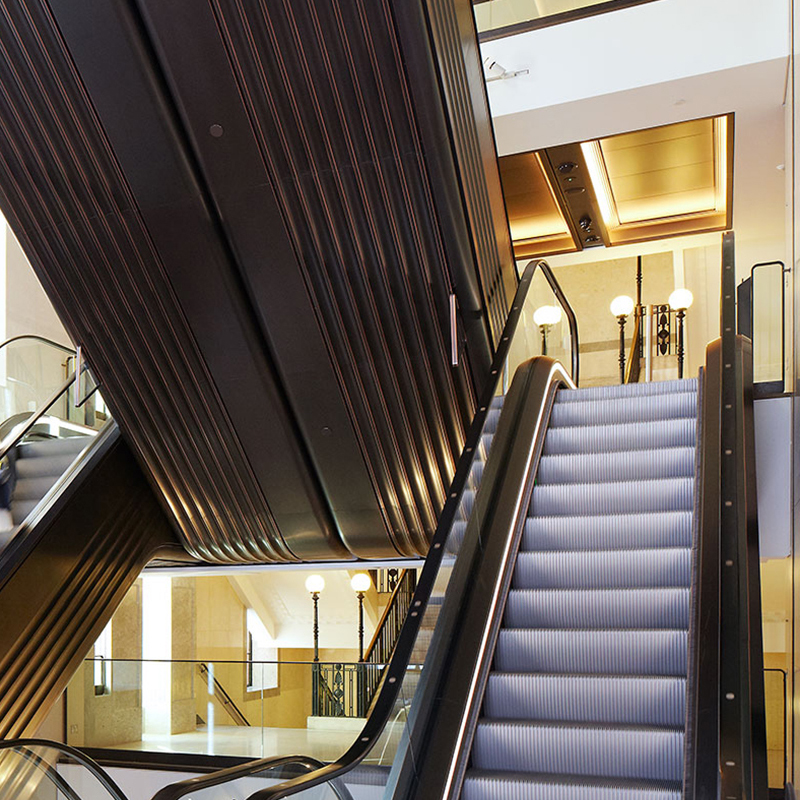Escalators In Double Stone Steel PVD colored stainless steel Almond Gold Mirror
