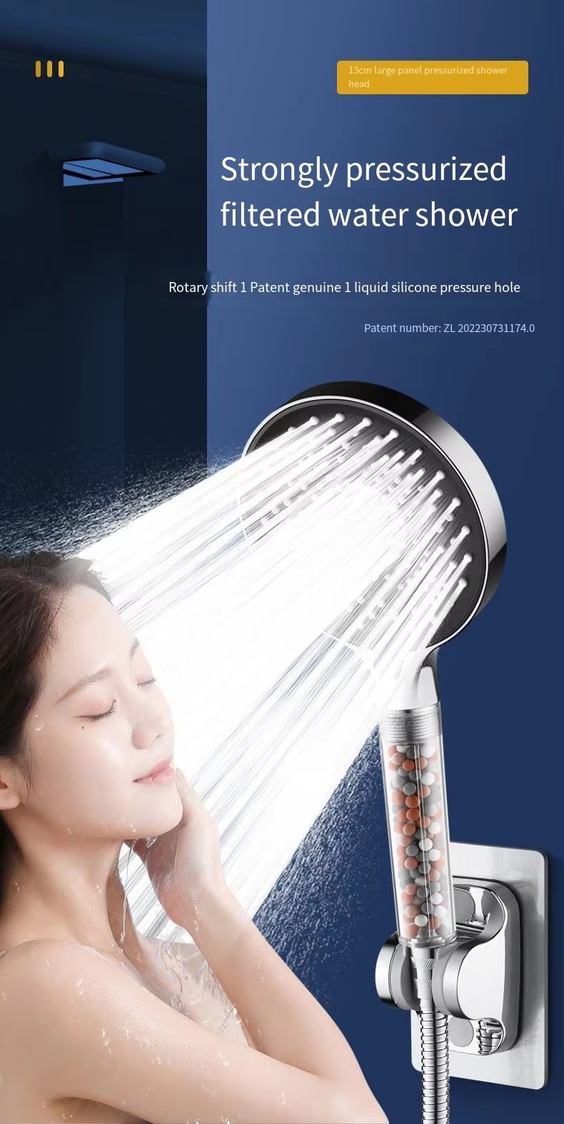 hand held shower head hand held shower head