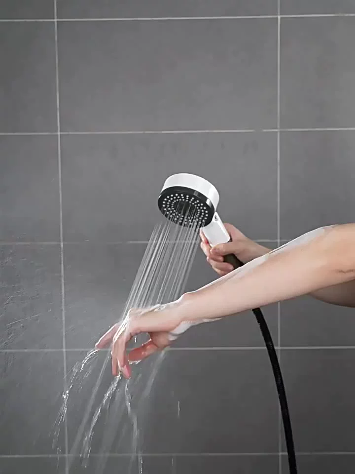 filtered handheld shower filtered handheld shower