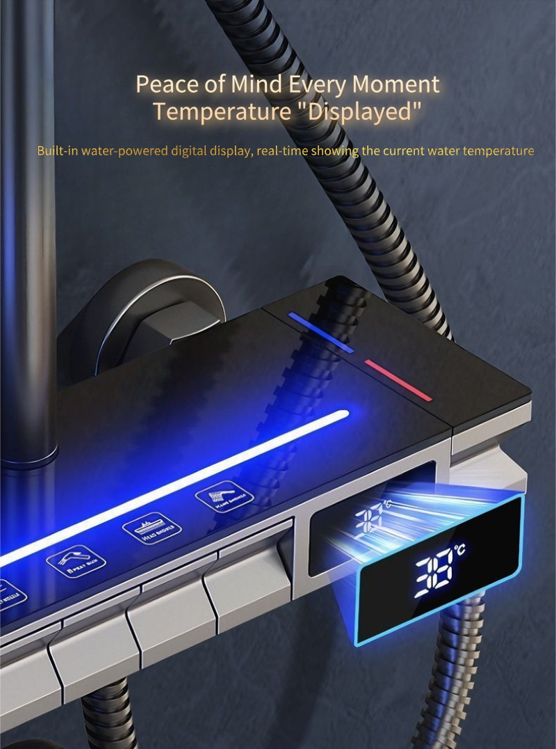 adjustable hand held shower