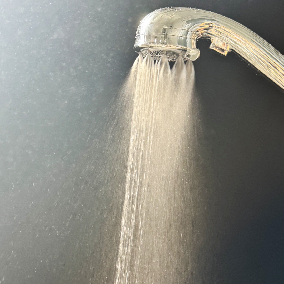 adjustable hand held shower