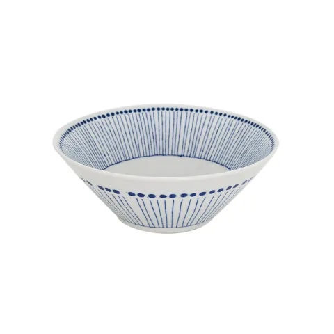 Blue and white ceramic Japanese style rice bowl, deep plate, large noodle bowl, soup bowl, tableware and style