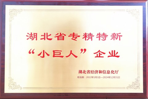 Little Giant Enterprise