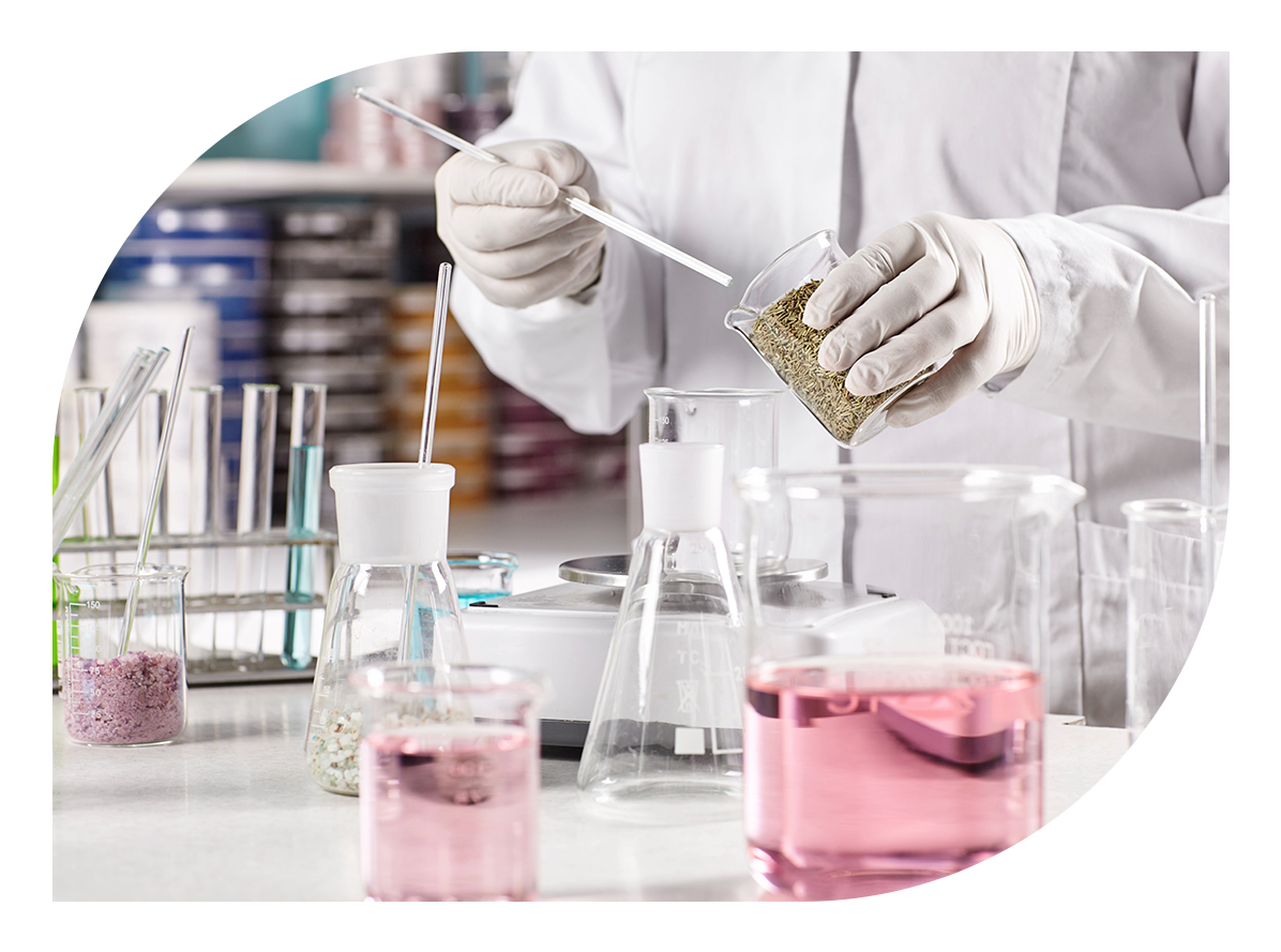 Commitment to Innovation and Safety in Cosmetics Manufacturing