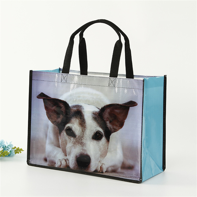 PP plastic woven bag with lamination