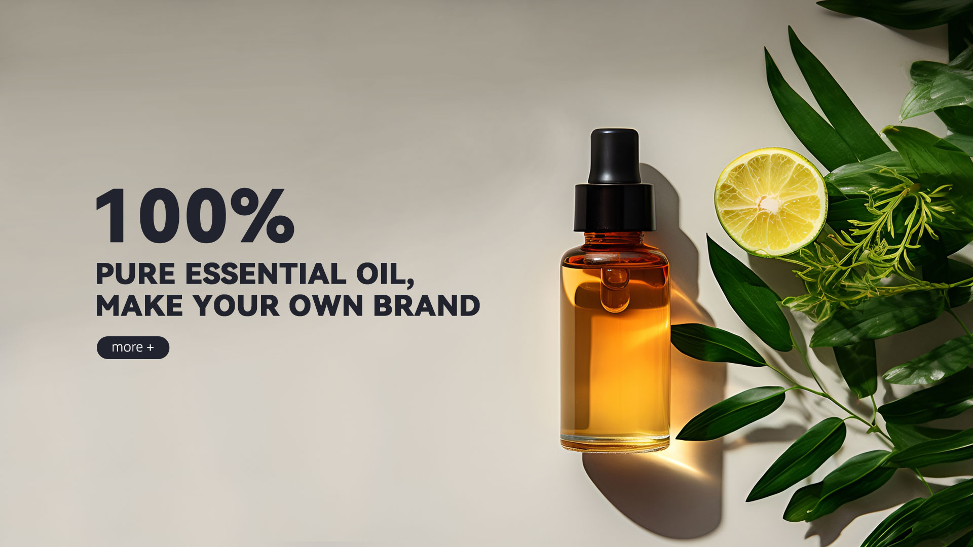 Air Humidifier manufacturer