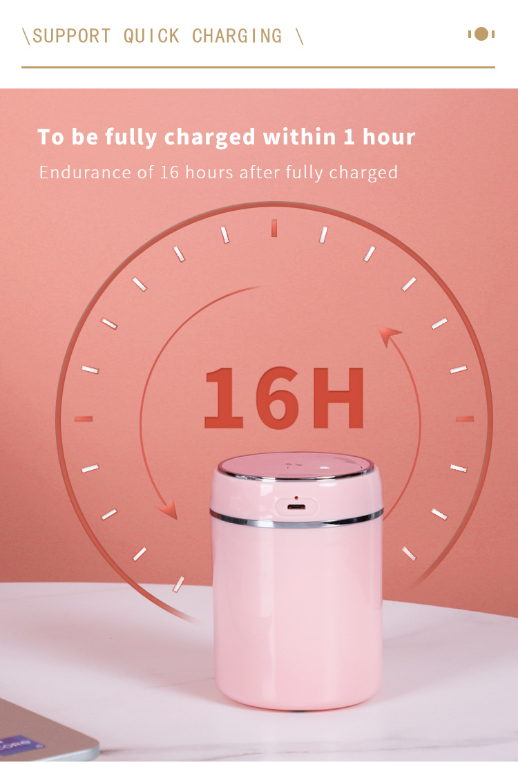 car nebulizer diffuser