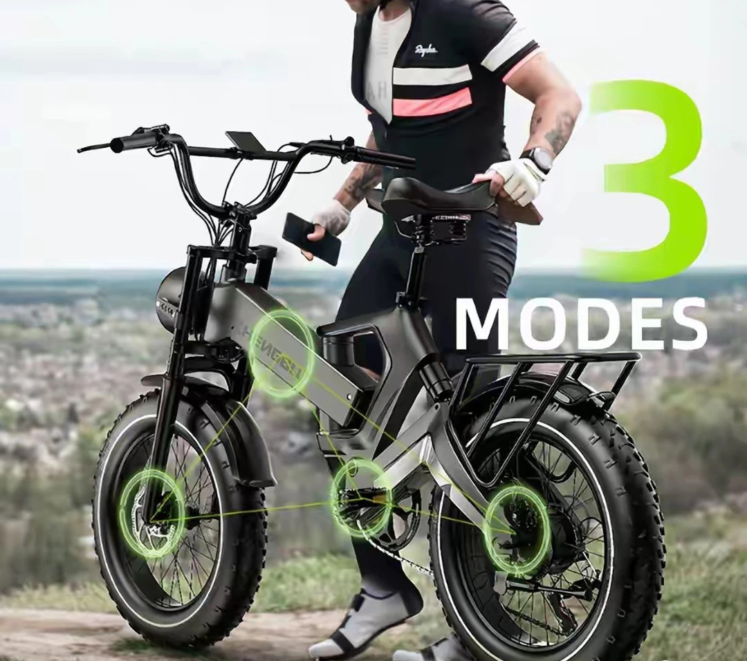 Can electric assistance and cycling ecology really help improve the quality and efficiency of the bicycle industry?