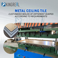 Metal Ceiling Tiles Molds Sets