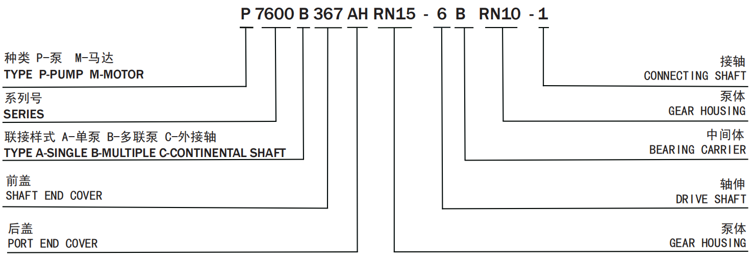 Roller Bearing Pumps and Motors