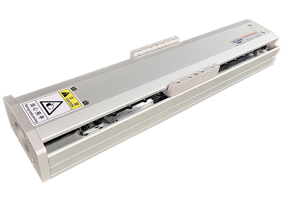 Positive Negative Screw Double Slide Module FSKS-100