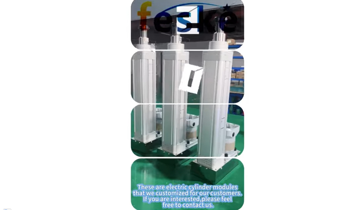 Customized electric cylinder module