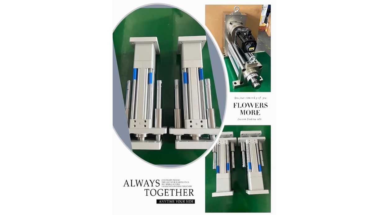 Servo electric cylinder #servo motor