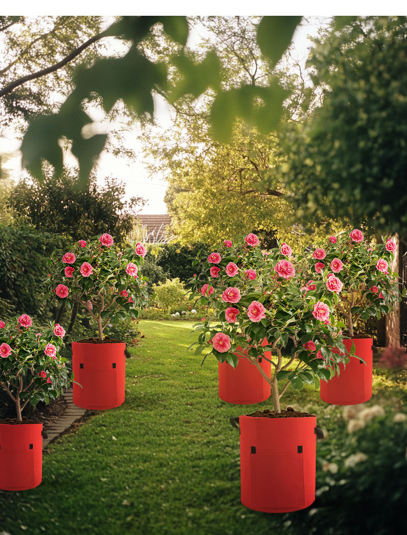 Grow Bags