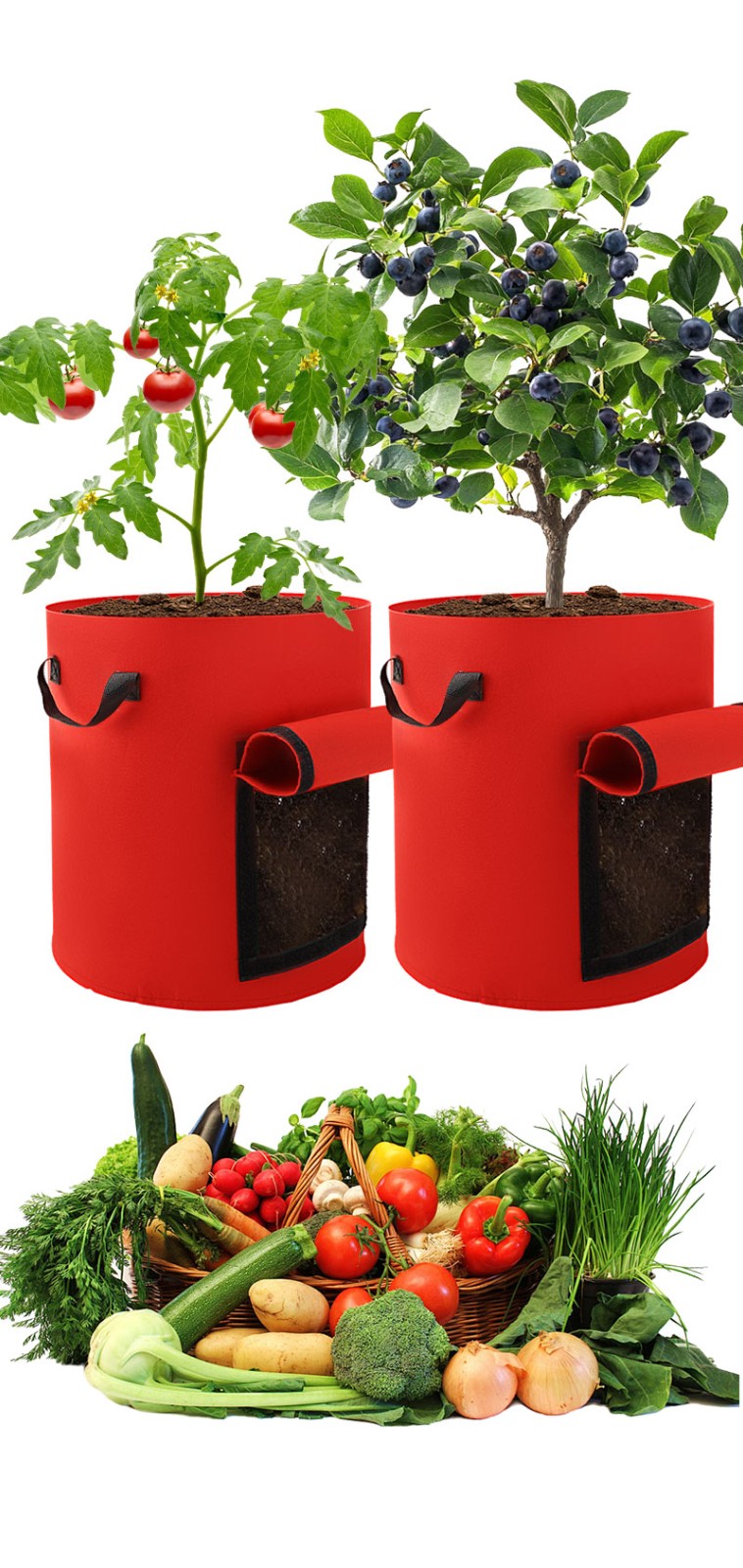 Plant Grow Bags