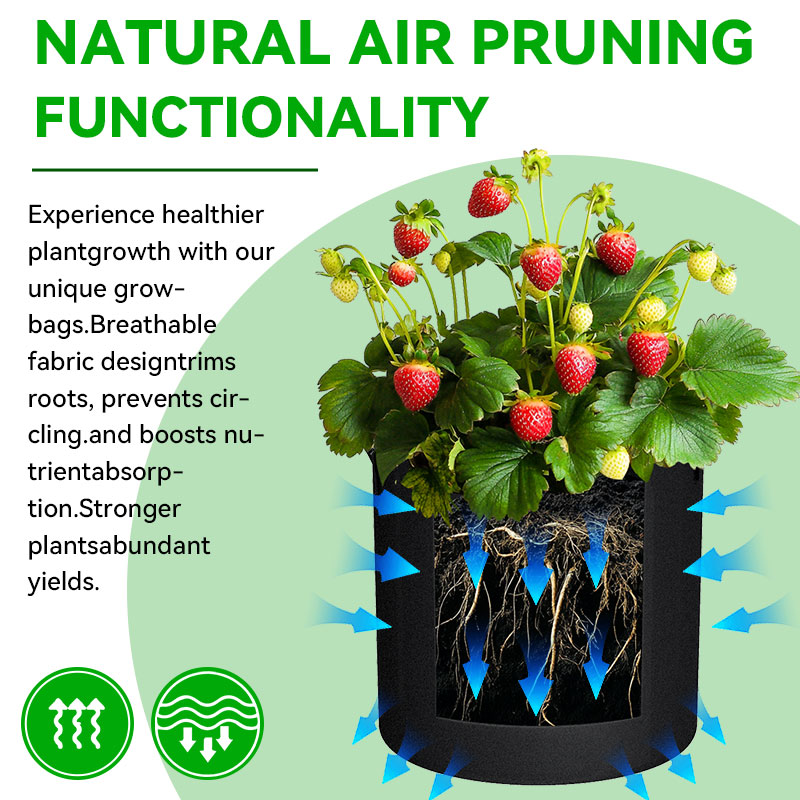 Grow Bags