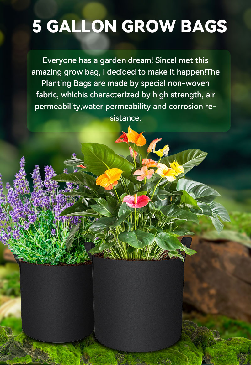 Colorful Grow Bags
