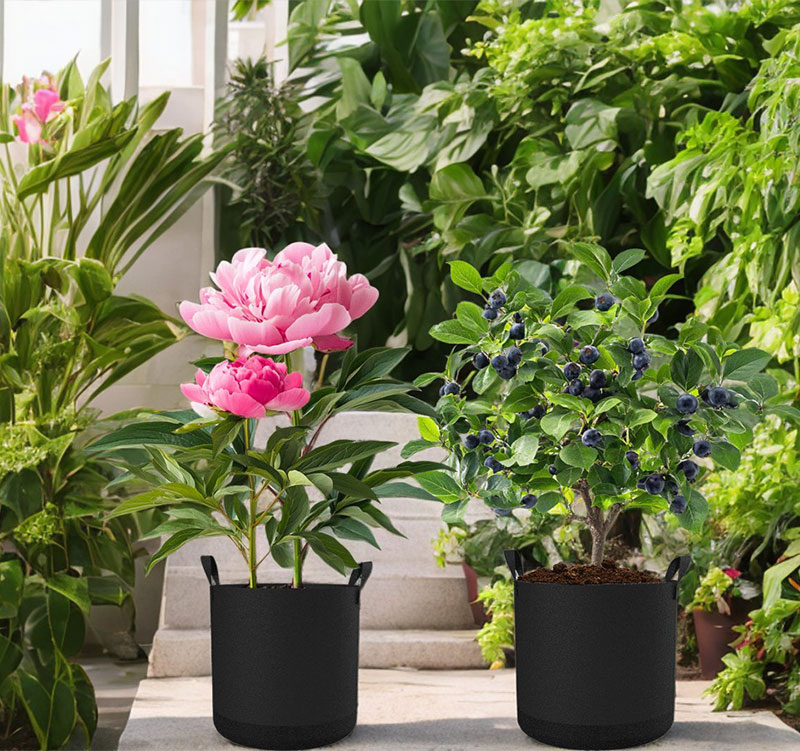 Thickest Fabric Pots