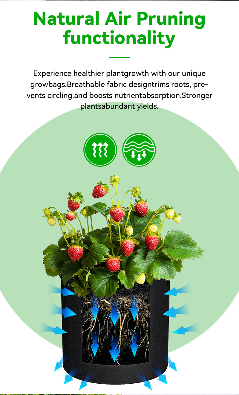 Colorful Grow Bags