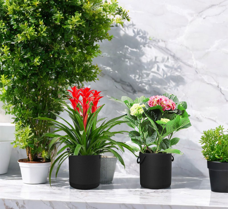 Grow Bags