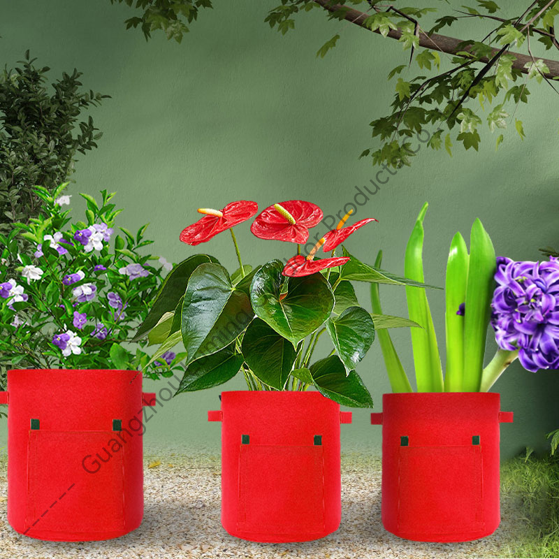 Grow Bags with 2 Flaps