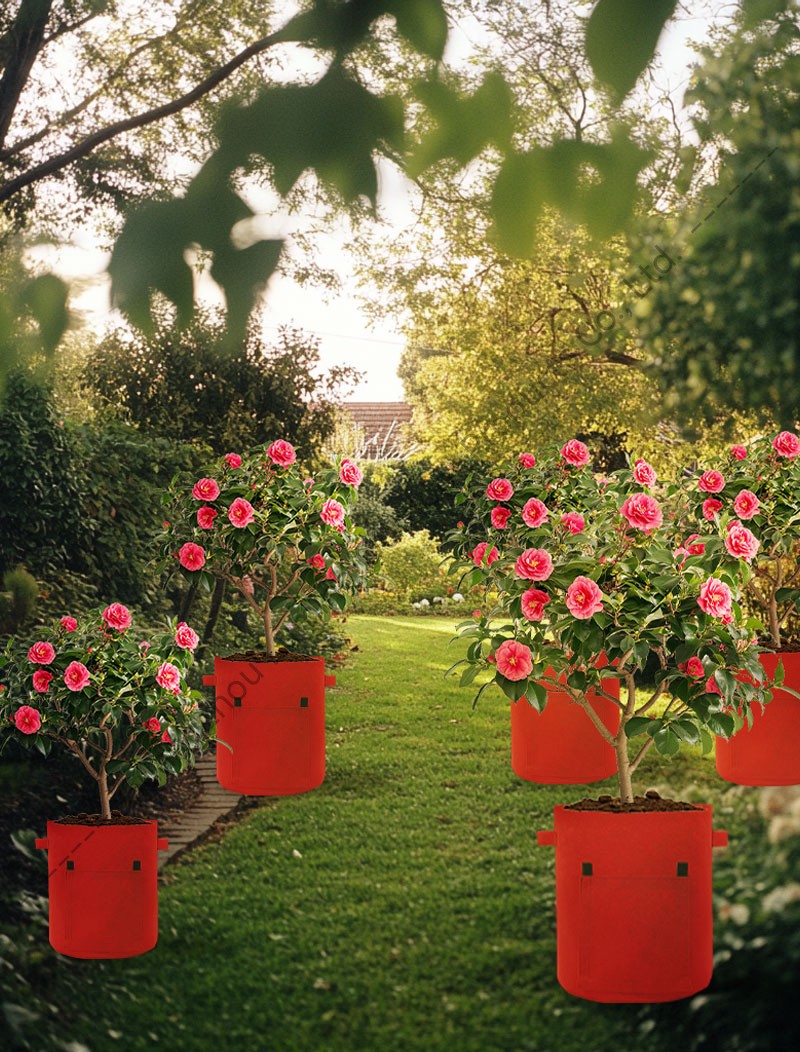 Potato Grow Bags