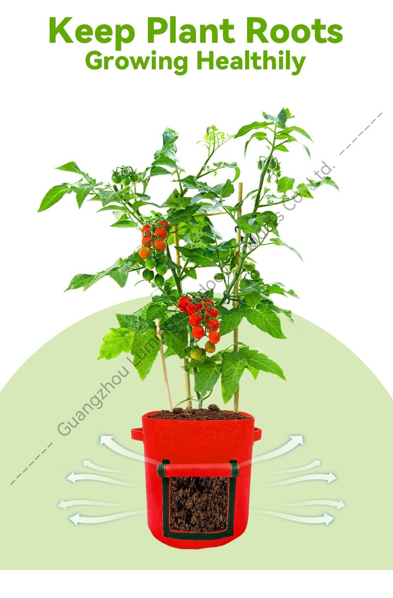 Potato Grow Bags
