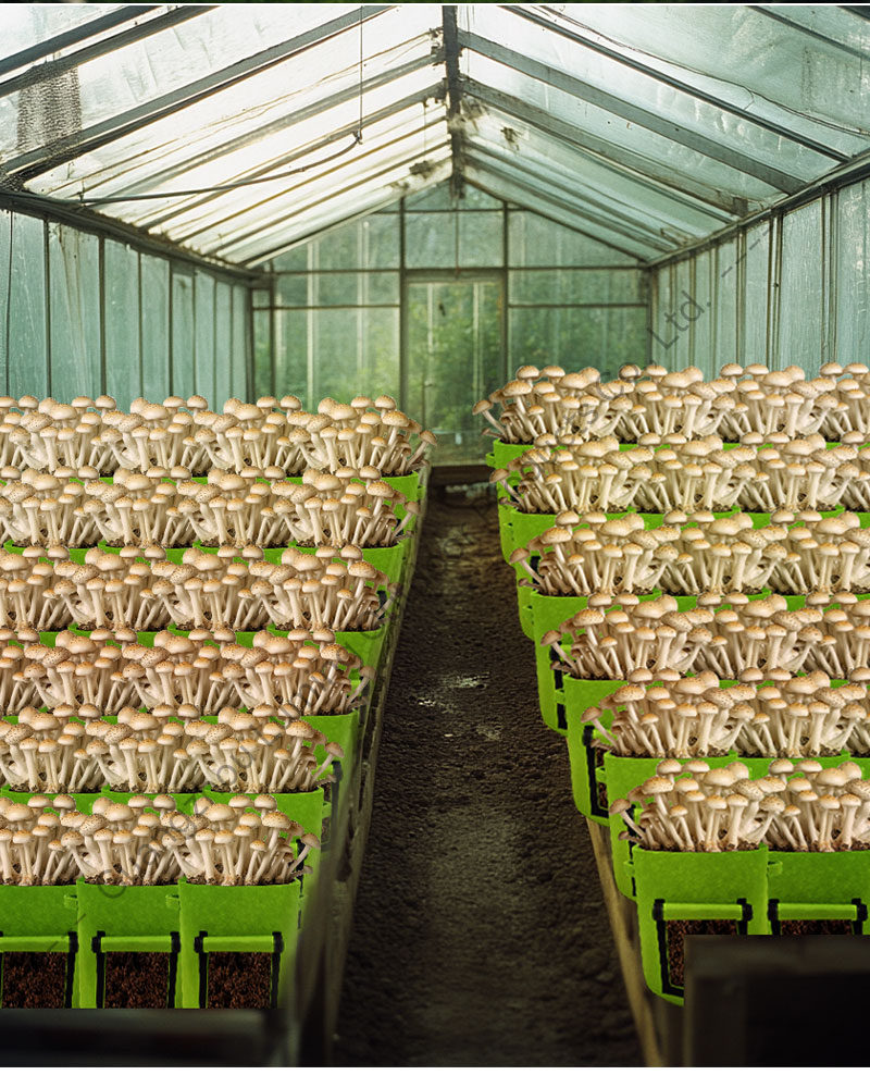 Grow Bags with 2 Flaps