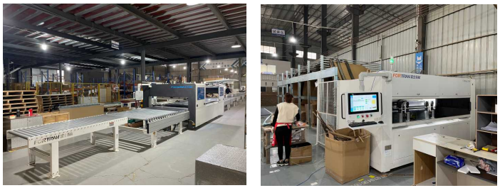 Automatic Carton Packaging Equipment
