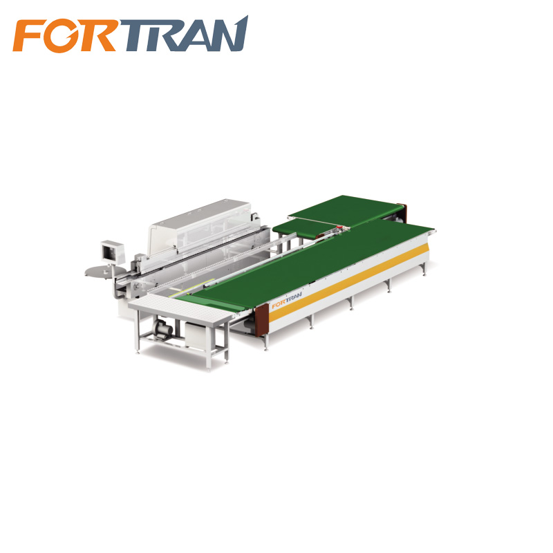 Edge Banding Returning Conveyor