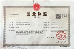 Business License