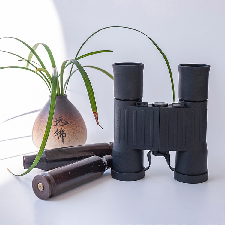 Smallest Mini Compact Binoculars