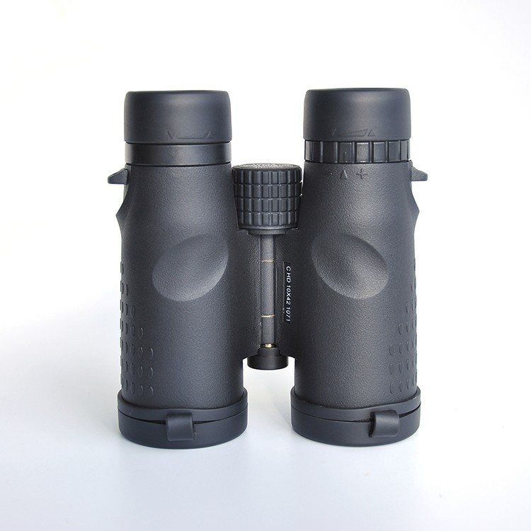 binoculars 10x42