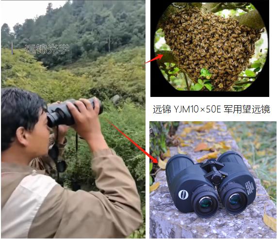 Binoculars Telescopes for Bees and Wasp