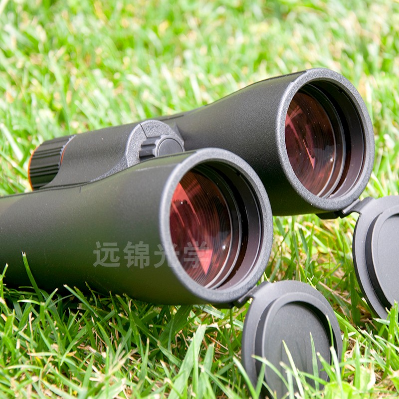 Easy Focus ED Glass 10x50 Binoculars for Sale