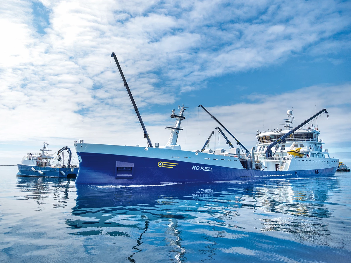 marine telescopic crane