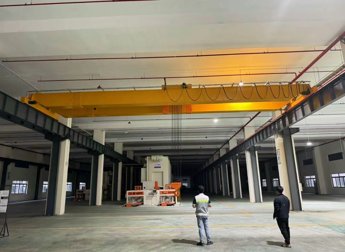 Double-beam bridge crane