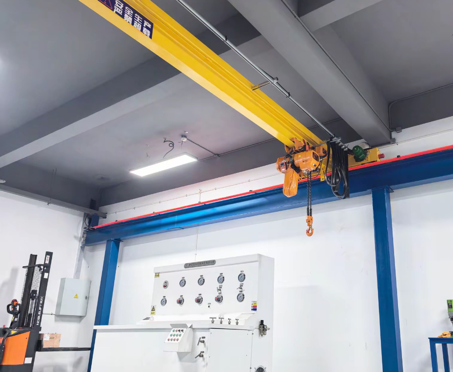 LDA Bridge Crane