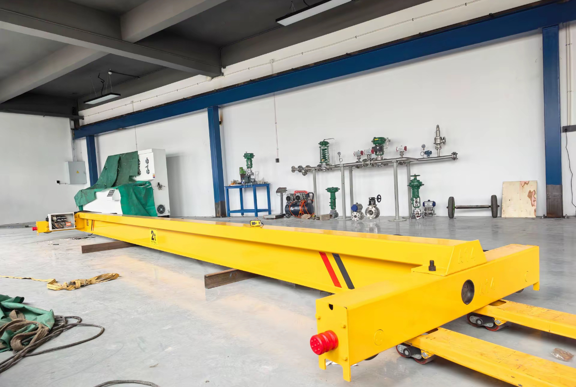 LDA Bridge Crane